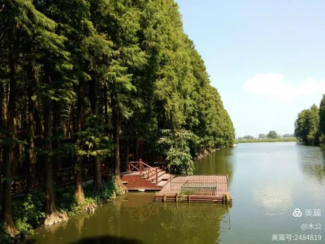 栈依杉科技与李中水上森林 科技赋能生态文旅的新范式
